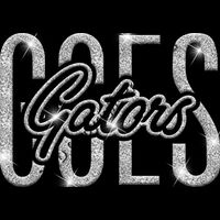 GLT95 SILVER GLITTER Thumbnail